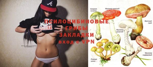 спиды Алагир