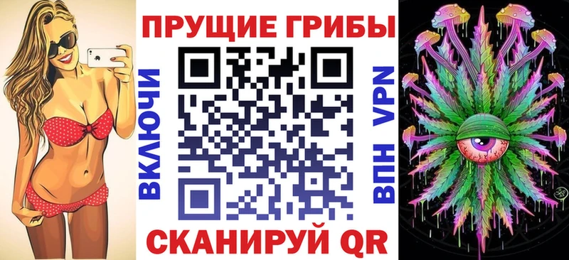 где найти   Княгинино  Псилоцибиновые грибы Psilocybine cubensis 
